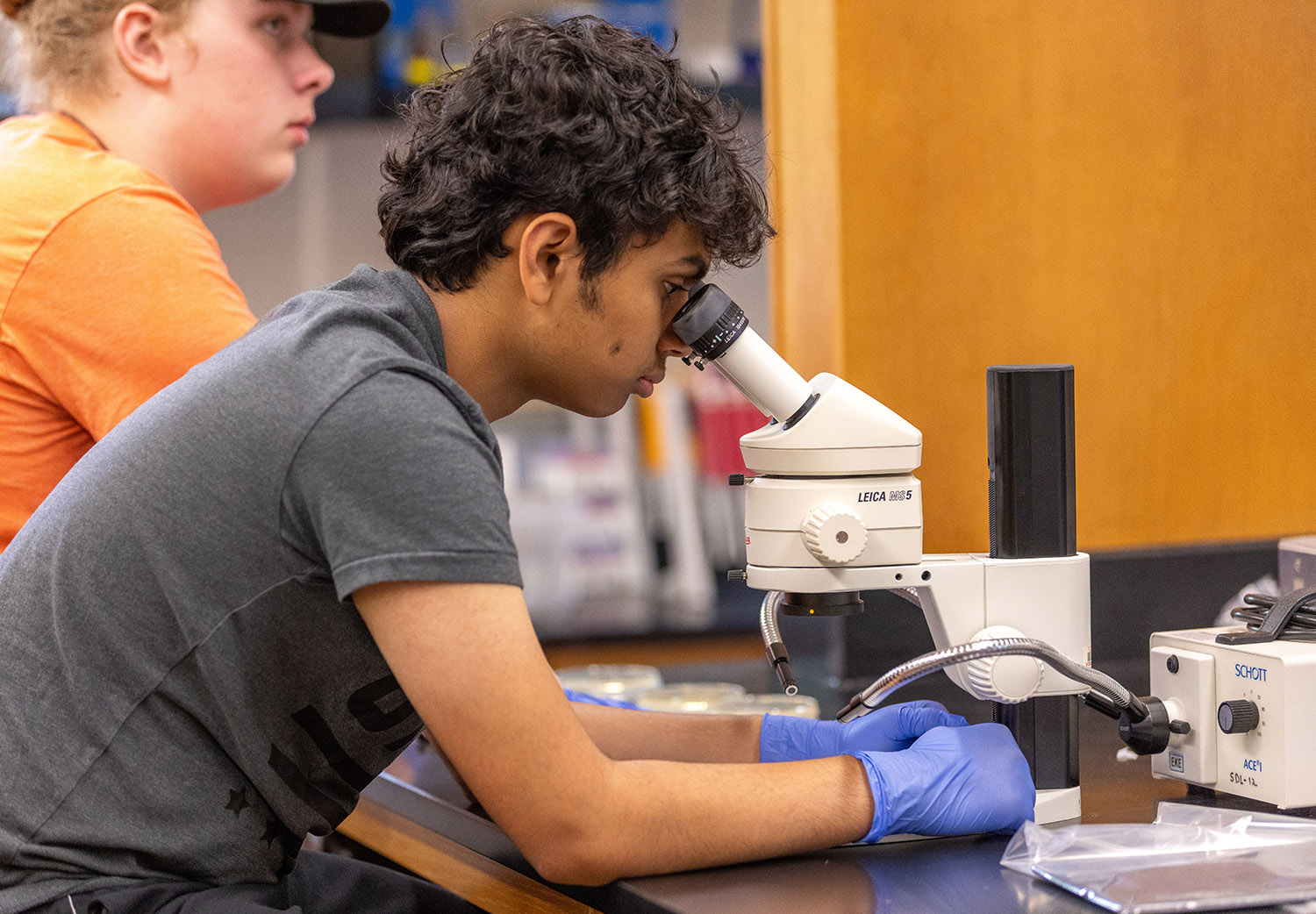Student at microscope
