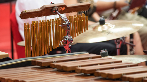 Musical instruments